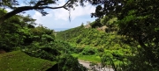 Thumbnail of pic_Derek_Wong_014.jpg