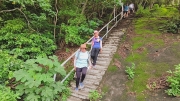 Thumbnail of pic_Derek_Wong_017.jpg