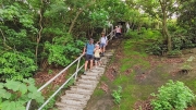 Thumbnail of pic_Derek_Wong_018.jpg