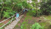 Thumbnail of pic_Derek_Wong_023.jpg