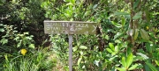 Thumbnail of pic_Derek_Wong_029.jpg