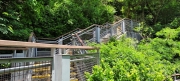 Thumbnail of pic_Derek_Wong_055.jpg