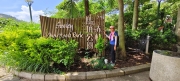 Thumbnail of pic_Derek_Wong_056.jpg