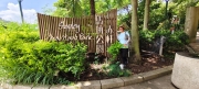 Thumbnail of pic_Derek_Wong_060.jpg