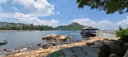 Thumbnail of pic_Derek_Wong_069.jpg