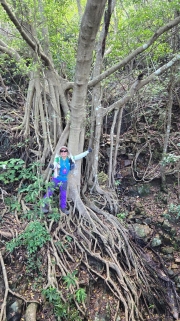 Thumbnail of pic_KW_Li_010.jpg