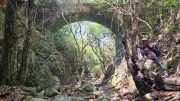 Thumbnail of pic_KW_Li_011.jpg