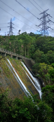 Thumbnail of pic_Cindy_Tse_002.jpg