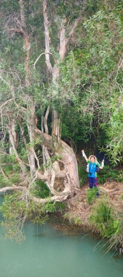 Thumbnail of pic_Cindy_Tse_008.jpg