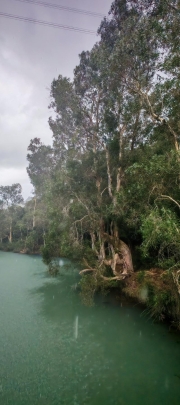 Thumbnail of pic_Cindy_Tse_010.jpg