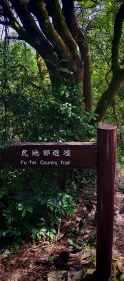 Thumbnail of pic_Cindy_Tse_020.jpg