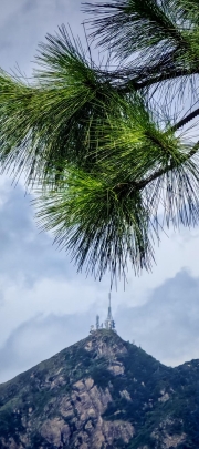 Thumbnail of pic_Cindy_Tse_022.jpg