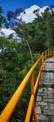 Thumbnail of pic_Cindy_Tse_031.jpg