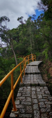 Thumbnail of pic_Cindy_Tse_034.jpg