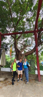 Thumbnail of pic_Derek_Wong_009.jpg