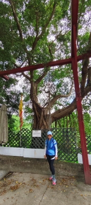 Thumbnail of pic_Derek_Wong_010.jpg