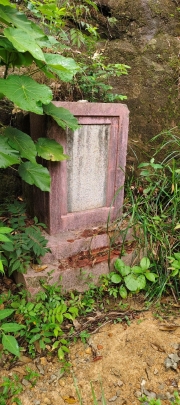 Thumbnail of pic_Derek_Wong_013.jpg