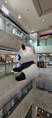 Thumbnail of pic_Derek_Wong_046.jpg