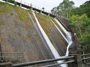 Thumbnail of pic_Lee_Shing_013.JPG