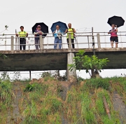 Thumbnail of pic_Lee_Shing_015.JPG