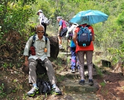 Thumbnail of pic_Lee_Shing_031.JPG