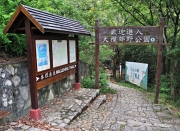 Thumbnail of pic_Lee_Shing_042.JPG