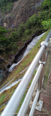 Thumbnail of pic_Mingle_Tam_001.jpg