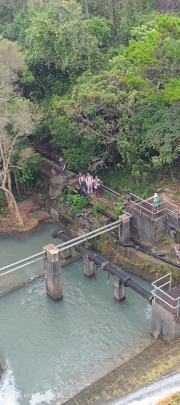 Thumbnail of pic_Mingle_Tam_002.jpg