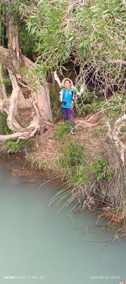 Thumbnail of pic_Mingle_Tam_004.jpg