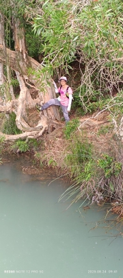 Thumbnail of pic_Mingle_Tam_005.jpg