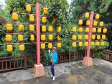 Thumbnail of 20250923_028.jpg