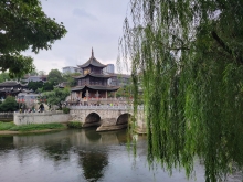 Thumbnail of 20250923_130.jpg