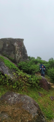 Thumbnail of pic_Derek_Wong_011.jpg