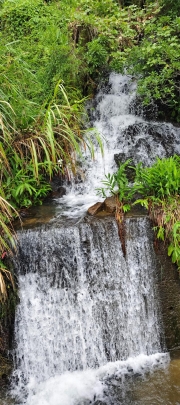 Thumbnail of pic_Derek_Wong_048.jpg