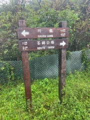 Thumbnail of pic_Paul_Tsang_033.jpg