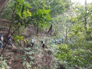 Thumbnail of PA260008.jpg