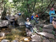 Thumbnail of PA260021.jpg