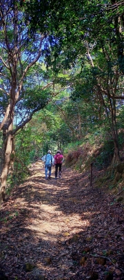 Thumbnail of pic_Cindy_Tse_032.jpg