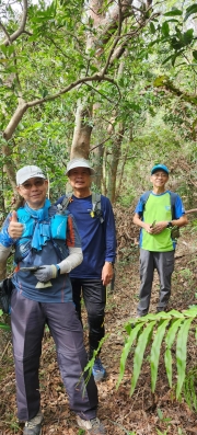 Thumbnail of pic_Si9_006.jpg