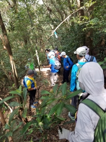 Thumbnail of PB020033.jpg