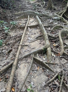 Thumbnail of pic_TB_Tung_006.jpg