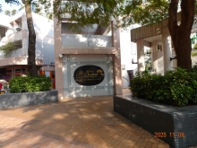 Thumbnail of pic_LK_Cheung_002.JPG