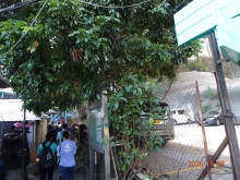 Thumbnail of pic_LK_Cheung_012.JPG