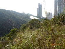 Thumbnail of pic_LK_Cheung_020.JPG