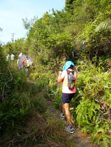 Thumbnail of pic_LK_Cheung_025.JPG