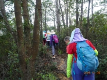 Thumbnail of pic_LK_Cheung_044.JPG