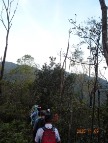 Thumbnail of pic_LK_Cheung_045.JPG