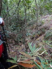 Thumbnail of pic_LK_Cheung_050.JPG