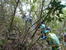 Thumbnail of pic_LK_Cheung_052.JPG