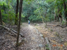 Thumbnail of pic_LK_Cheung_061.JPG